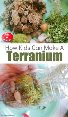 Mini Terrarium Craft for Kids Terrarium Diy Kids, Simple Stem Projects, Terrarium Craft, Make A Terrarium, How Plants Grow, Build A Terrarium, Preschool Stem, Preschool Science Activities, Diy Terrarium