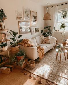 a living room filled with furniture and lots of plants on the windows sills