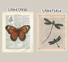 two different types of dragonflies on top of an old book page with the same image