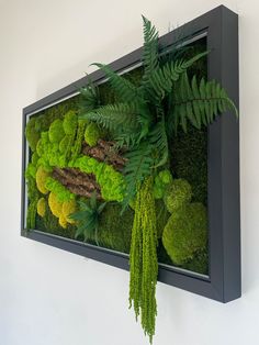 a moss covered wall hanging on the side of a white wall