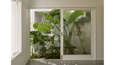 an open door leading to a room with plants in it