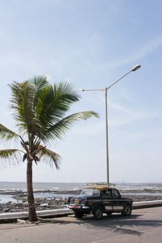 a truck parked next to a palm tree on the side of a road near the ocean