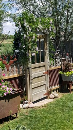 an outdoor garden area with potted plants and a wooden door in the center, surrounded by green grass