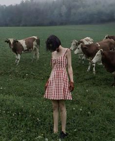 a woman in a red and white checkered dress standing in front of some cows