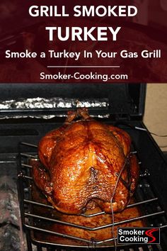 Beer Brine, Smoked Recipes, Smoked Turkey Recipes, Meat Smoker, Smoker Cooking, Turkey Brine, Brine Recipe, Traeger Recipes, Grilled Turkey