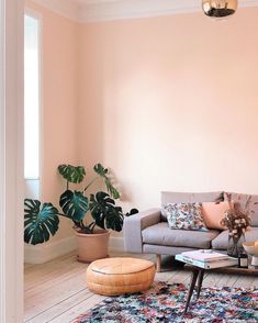 a living room with pink walls and rugs on the floor in front of a gray couch