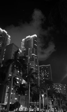 black and white photograph of palm trees in front of tall buildings with lights on at night