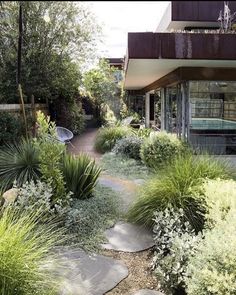 a garden with lots of green plants next to a building