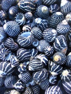 blue and white striped glass balls are stacked on top of each other in a pile