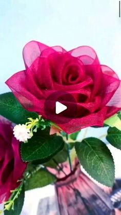 a red rose in a vase with green leaves