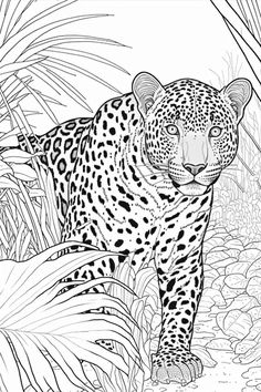 a black and white drawing of a leopard in the jungle