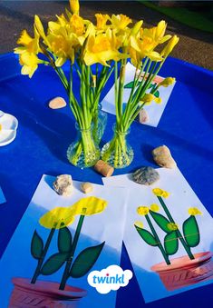 yellow flowers in vases sitting on top of a blue table with rocks and paper