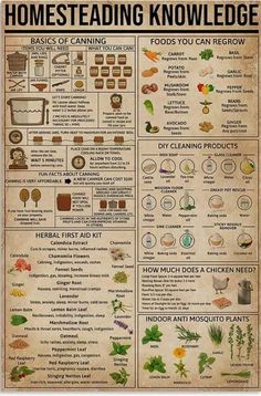 Cooking Hobby, Magia Das Ervas, Survival Life Hacks, Survival Life, Camping Ideas, Survival Tips, Useful Life Hacks, Survival Skills, Permaculture