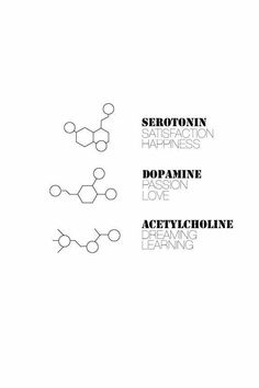 the book cover for serotronin, dopapine and acetylcholinne