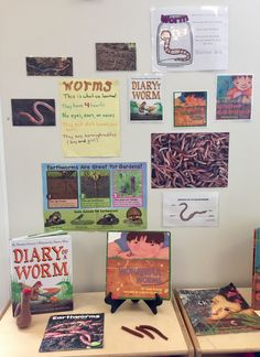 there are many different books on the desks and in front of them is an image of worms