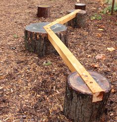 a wooden bench sitting in the middle of a forest filled with trees stumps and logs