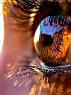 an extreme close up shot of the iris of a person's eye