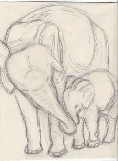 a pencil drawing of an elephant and its baby