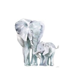 Mama Elephant on White Poster Print - Katrina Pete-VARPDX79072 Image 1 Momma Elephant And Baby Art, Mama Elephant, White Poster, Stock Paper, Fine Arts Posters, Paper Stock, Art Poster, Fine Art Print, Posters Art Prints