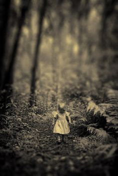 Magic Moments, John Maxwell, Magical Art, Magical Moments, Foto Art, Nature Quotes, Alam Yang Indah, Enchanted Forest, Wild Animals