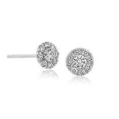 14K white gold diamond margarita halo stud earrings from the Reis-Nichols Collection. The earrings feature 18 round brilliant cut diamonds weighing approximately 1/4 ctw (.23-.27). Halo Stud Earrings, Halo Earrings Studs, Style Gift, Round Brilliant Cut Diamond, Round Brilliant Cut, Brilliant Cut Diamond, White Gold Diamonds, Round Brilliant, Gold Diamond