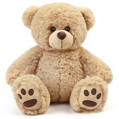 a brown teddy bear sitting up against a white background