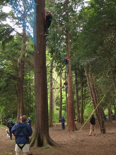 several people are climbing up and down the ropes in the forest while one person is on an obstacle course