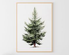 a watercolor painting of a pine tree on a white wall with a wooden frame