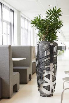 a plant in a large vase on the floor next to some chairs and tables at an office