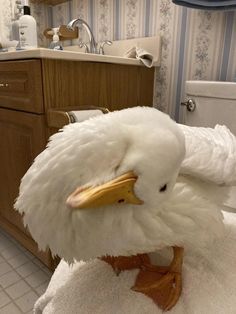 a white duck sitting on top of towels in a bathroom