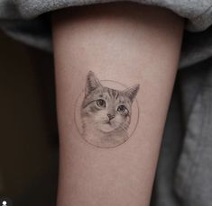 a cat's face in a circle tattoo on the arm