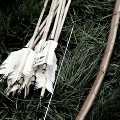 several white feathers are laying on the ground next to some bamboo sticks and arrows in the grass