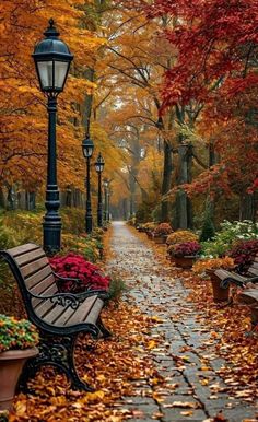 a park bench sitting next to a lamp post with autumn leaves on the ground around it