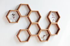 three hexagonal shelves with vases and flowers in them on a white wall