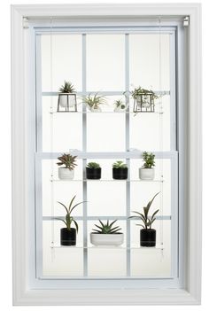 a window with several plants in it and one plant is on the shelf behind them