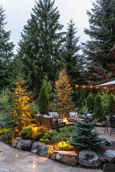 A guide on creating a privacy landscape using conifer plants for added greenery and seclusion in your outdoor space. Tree Filled Backyard, Landscape Ideas Trees, Forest Backyard Landscaping, Evergreen Backyard Landscaping, Rustic Cabin Landscaping Ideas, Pnw Landscape Design, Backyard Landscaping Colorado, Dg Backyard Landscape Design, Dryscape Landscaping Backyard