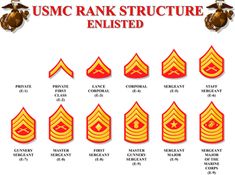 the us marine rank structure is shown in red and gold