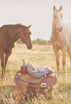 two horses standing next to each other in a field with a baby laying on top of a saddle