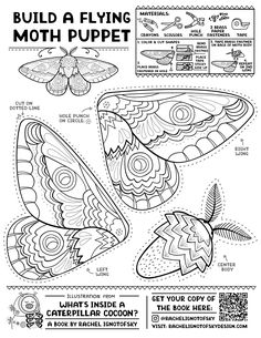 an adult coloring book with instructions for how to draw butterflies and moths in the air