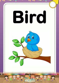 a blue bird sitting on top of a tree branch with the word bird in front of it