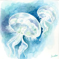 a watercolor painting of two jellyfishs swimming in the ocean with their tails curled up