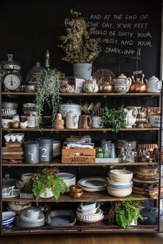 a shelf filled with lots of dishes and plants