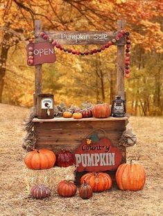 an outdoor display with pumpkins and other decorations