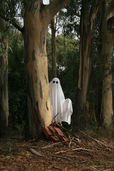 a ghost is hiding behind a tree in the woods