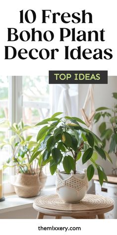 10 fresh boho plant decor ideas featuring potted plants on a woven table in a bright room. Plant Styling Ideas, Boho Planters, Boho Family Room, Boho Plant Decor, Decorating With Plants, Boho Plants, Unique Planters