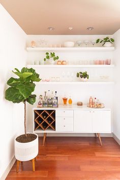 there is a plant in the corner of this room with shelves on the wall behind it