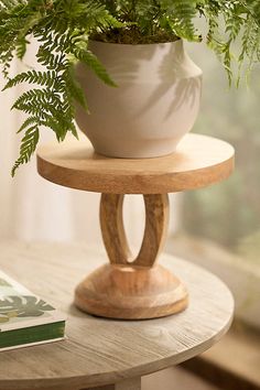 a potted plant sitting on top of a wooden stand