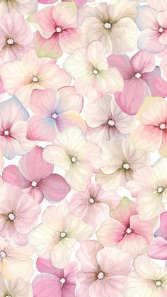 pink and white flowers are arranged in rows on a white background with watercolor effect