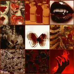 a collage of images with red, black and white items in the middle one has a butterfly on it