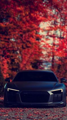 a black sports car parked in front of some trees with red leaves on the ground